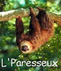 L'Paresseux